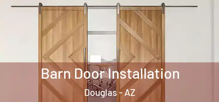Barn Door Installation Douglas - AZ