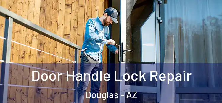 Door Handle Lock Repair Douglas - AZ