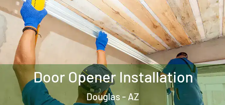 Door Opener Installation Douglas - AZ