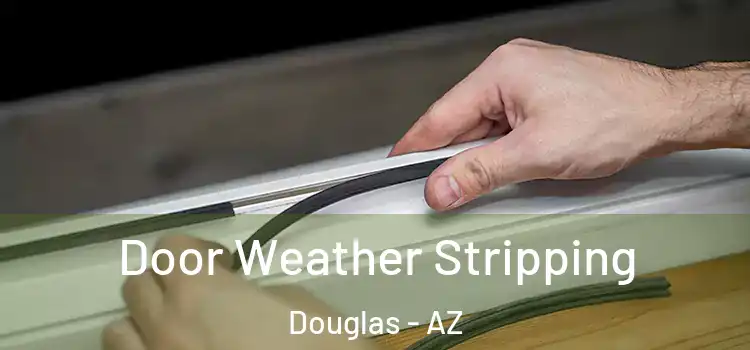 Door Weather Stripping Douglas - AZ