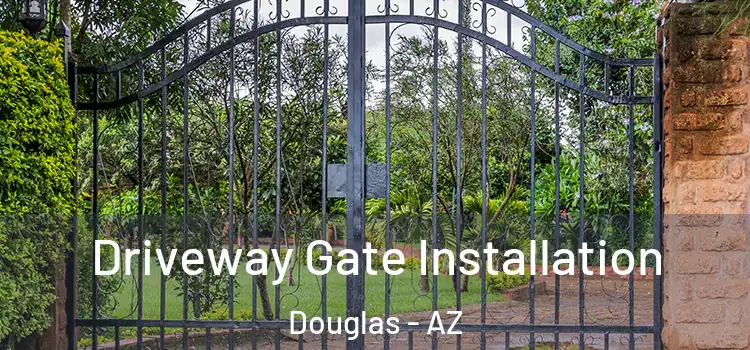 Driveway Gate Installation Douglas - AZ