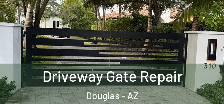 Driveway Gate Repair Douglas - AZ