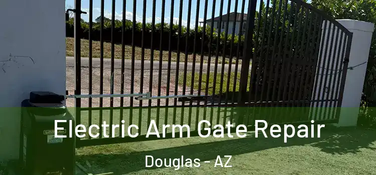 Electric Arm Gate Repair Douglas - AZ