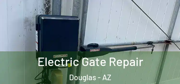 Electric Gate Repair Douglas - AZ