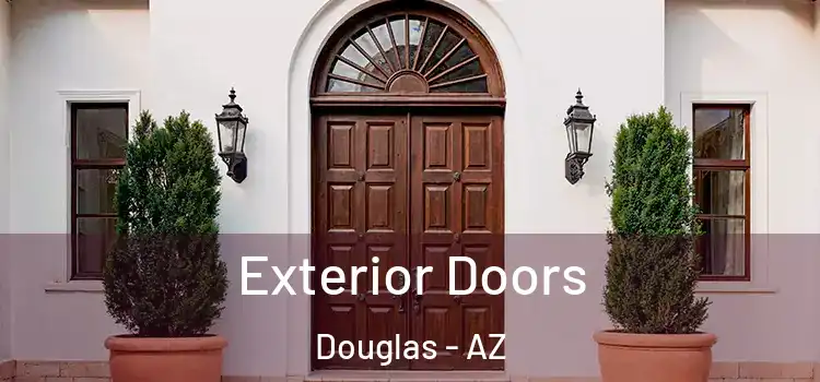 Exterior Doors Douglas - AZ