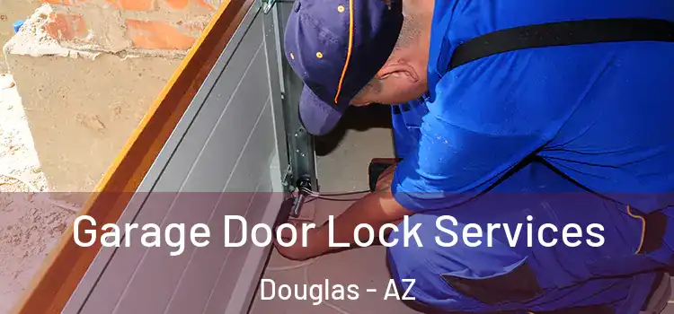 Garage Door Lock Services Douglas - AZ