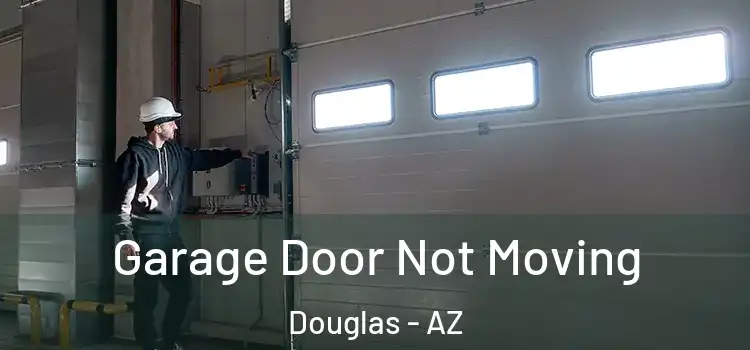  Garage Door Not Moving Douglas - AZ