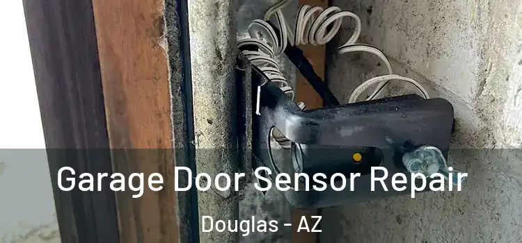 Garage Door Sensor Repair Douglas - AZ
