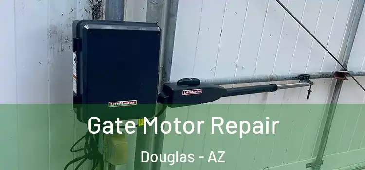 Gate Motor Repair Douglas - AZ