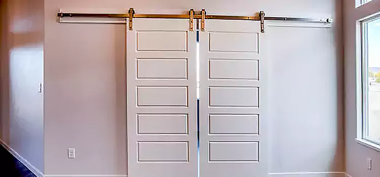 Glass Barn Door with Installation Hardware Kit Douglas