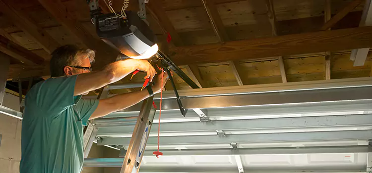 Garage Door Opener Sales and Installation Douglas