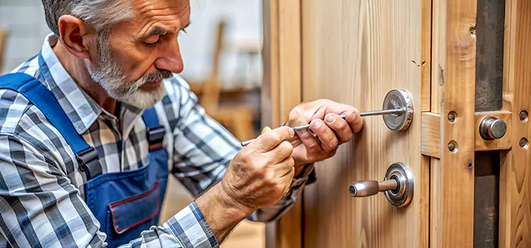 Mortise Replacement Lock Douglas