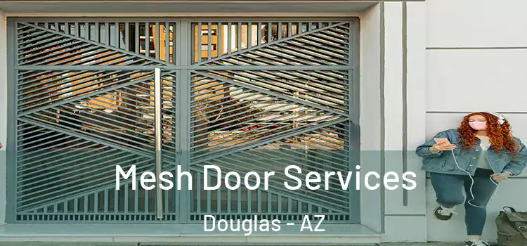 Mesh Door Services Douglas - AZ