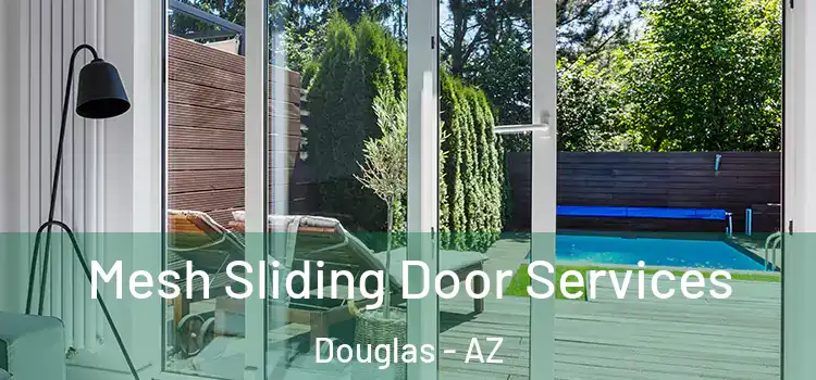 Mesh Sliding Door Services Douglas - AZ