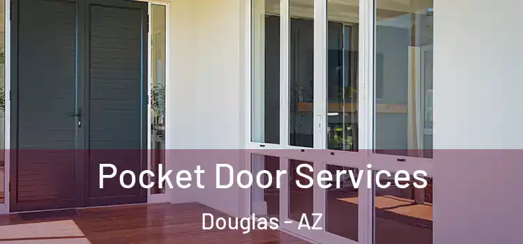 Pocket Door Services Douglas - AZ