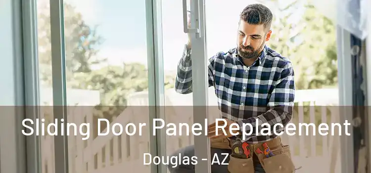  Sliding Door Panel Replacement Douglas - AZ