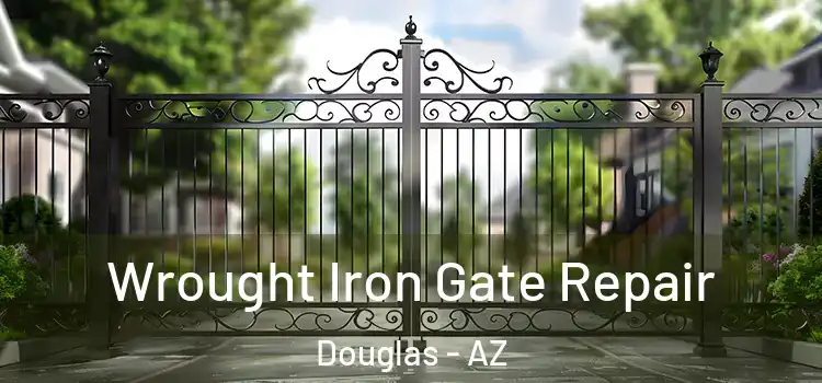 Wrought Iron Gate Repair Douglas - AZ